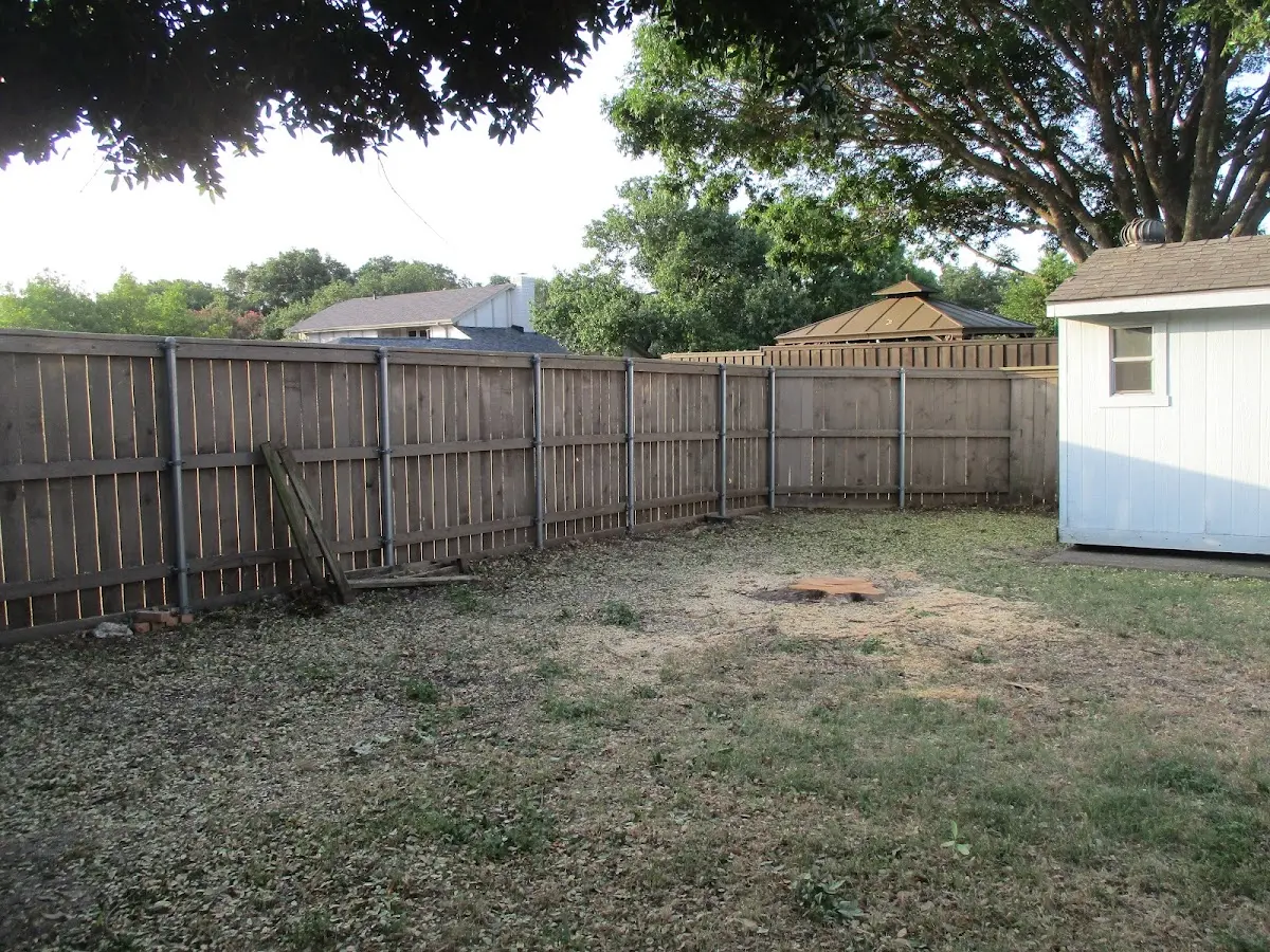 Cleared yard after professional tree removal in Hopkins