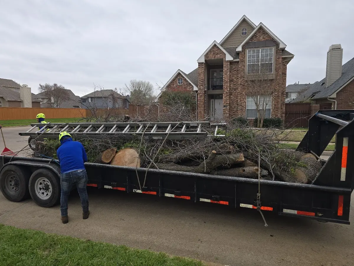 Expert Tree Fertilization with proper safety equipment in Hopkins